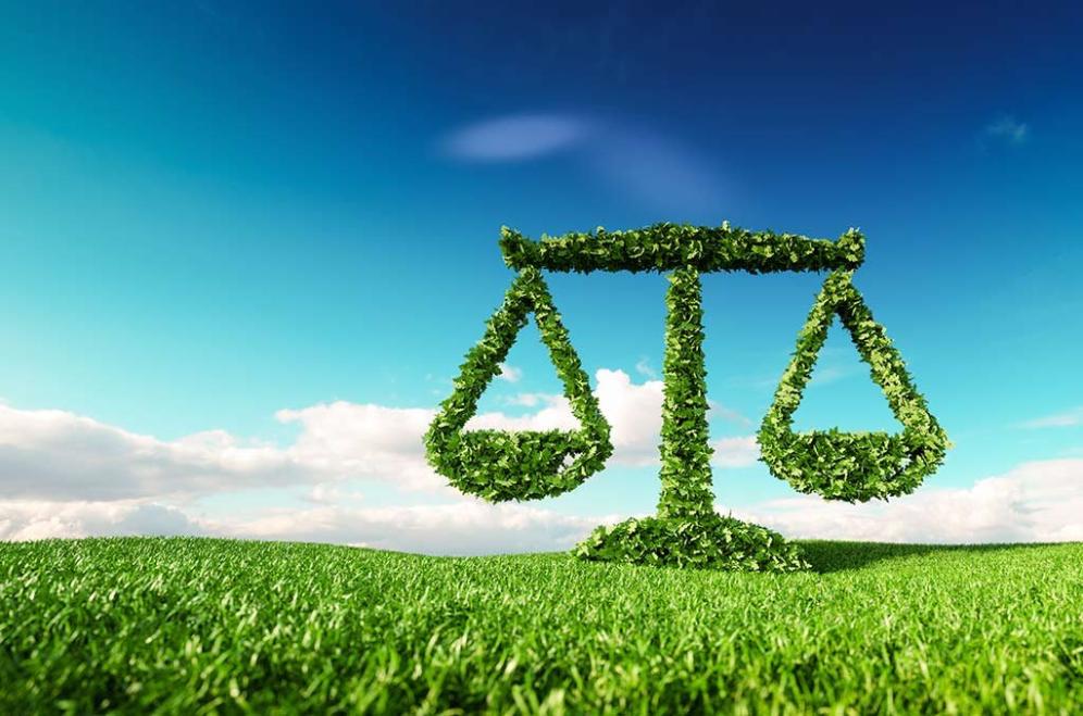 How Do Class Action Lawsuits Differ from Other Types of Environmental Lawsuits?